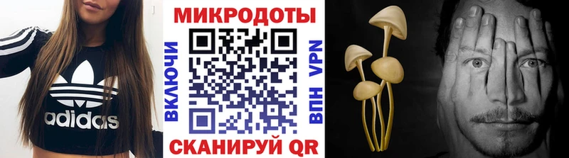 Псилоцибиновые грибы Psilocybe  что такое   Сорск 